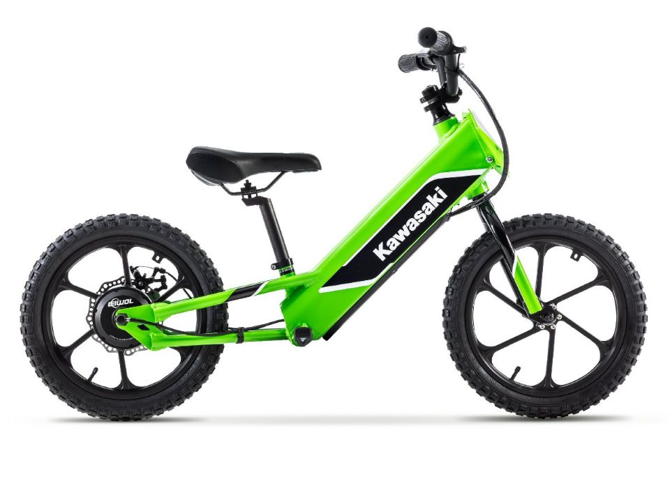 Kawasaki Elektrode