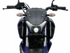 Fazer FZ15