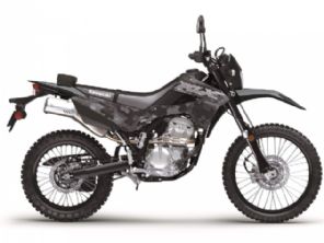 KLX 300